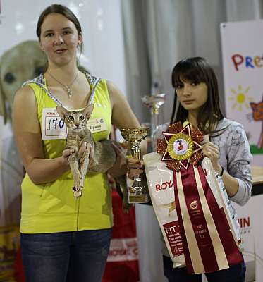   '--' 22-23  2014 5_170_169A8589 copy.jpg